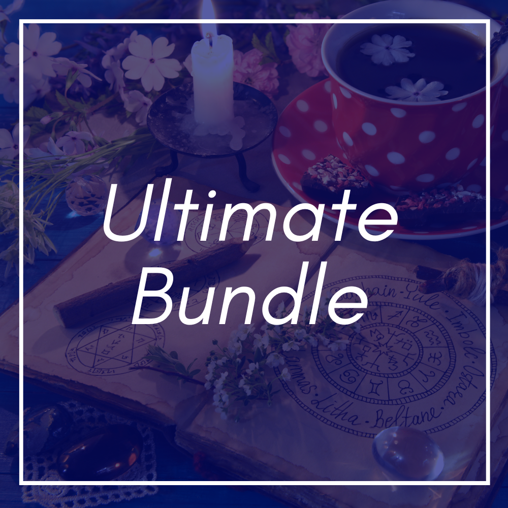 Vedic Astrology Reading - Ultimate Bundle (£299) - Vedic Treasures 